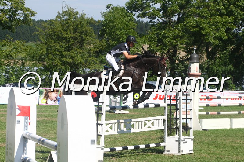 308M2994_Whats Up_Spring_Mxx.JPG